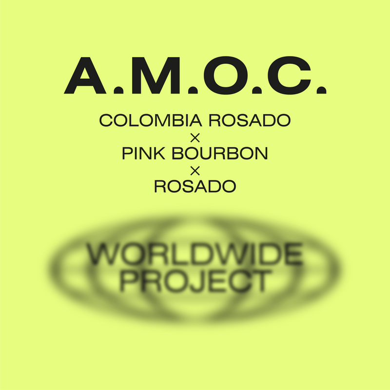 AMOC Worldwide Project
