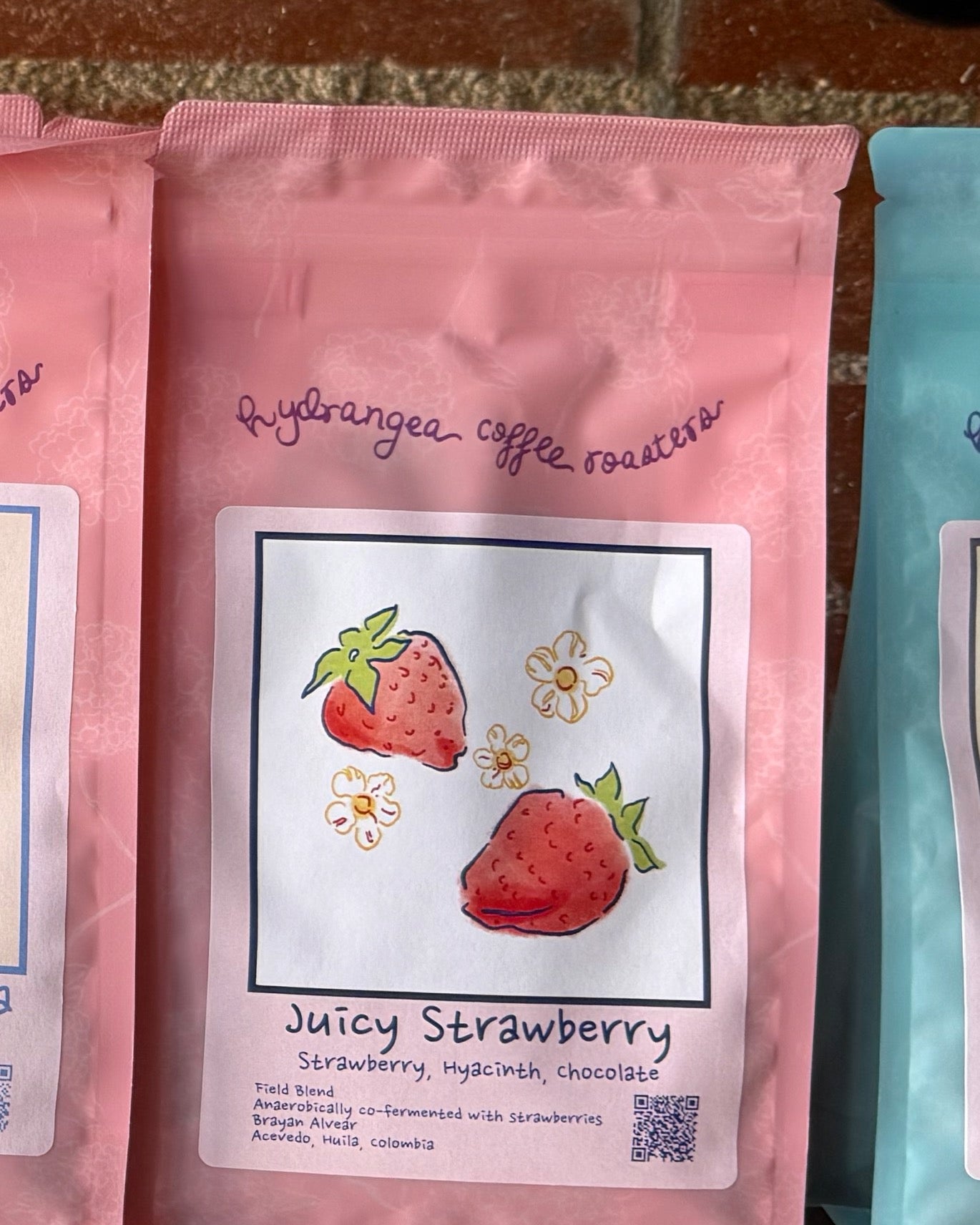 Hydrangea Juicy Strawberry