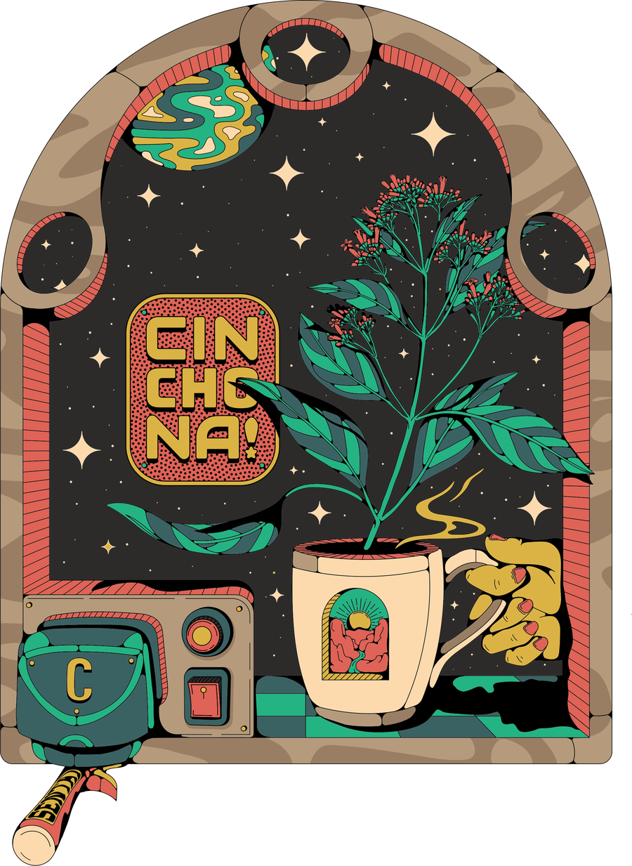 Cinchona illustration: an arched window onto a starfield, the cinchona plant, a cup and a control panel
